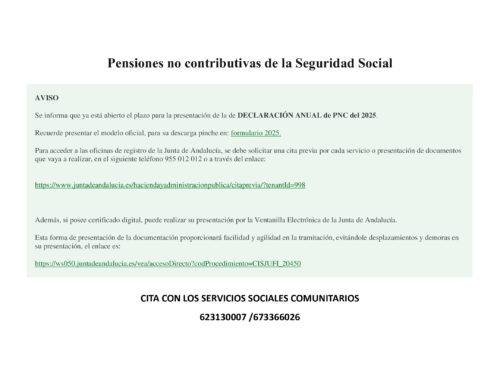 Plazo para la presentación de la de DECLARACIÓN ANUAL de PNC del 2025