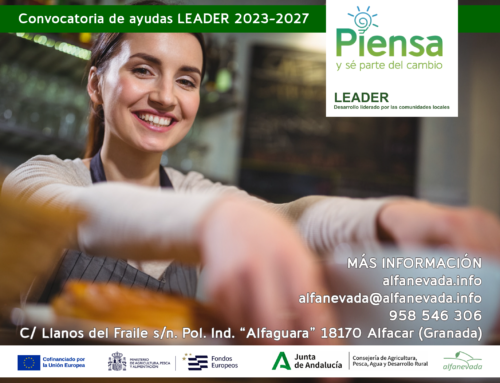 Bases reguladoras para la concesión de las ayudas Estrategia LEADER 2023-2027
